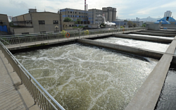 Воздуходувка Robuschi RBS ES 15